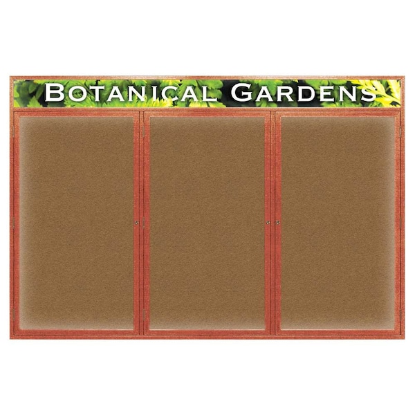 Open Faced Traditional Rounded Corkboard